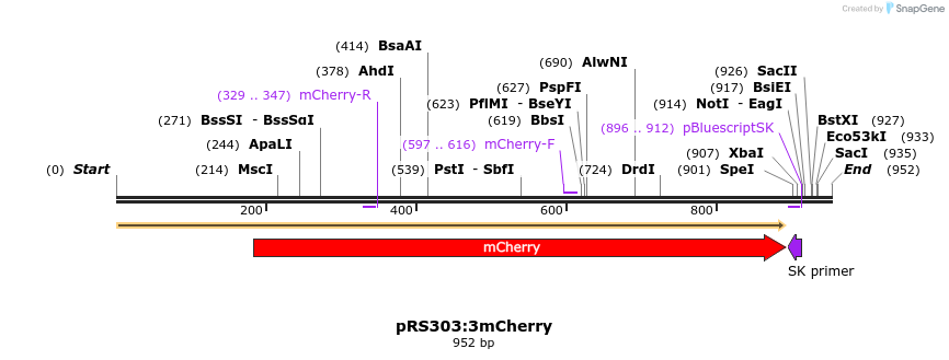 49286_map