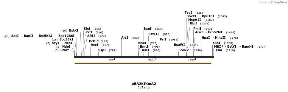 49287_map