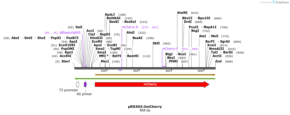 49288_map
