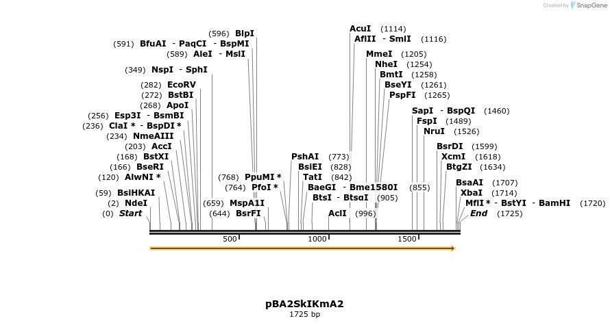 49291_map