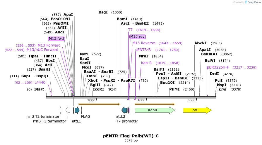 492967_map