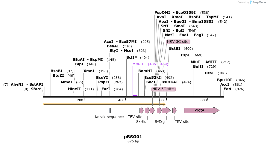 49299_map