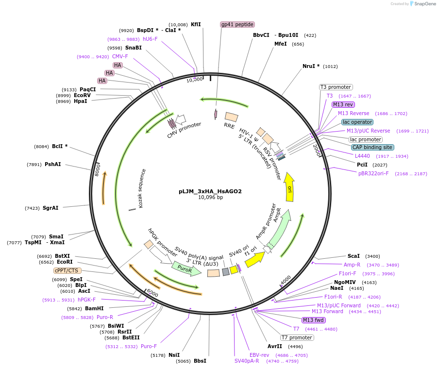 493007_map