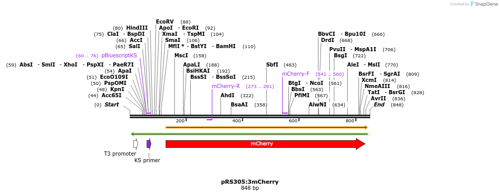 49301_map