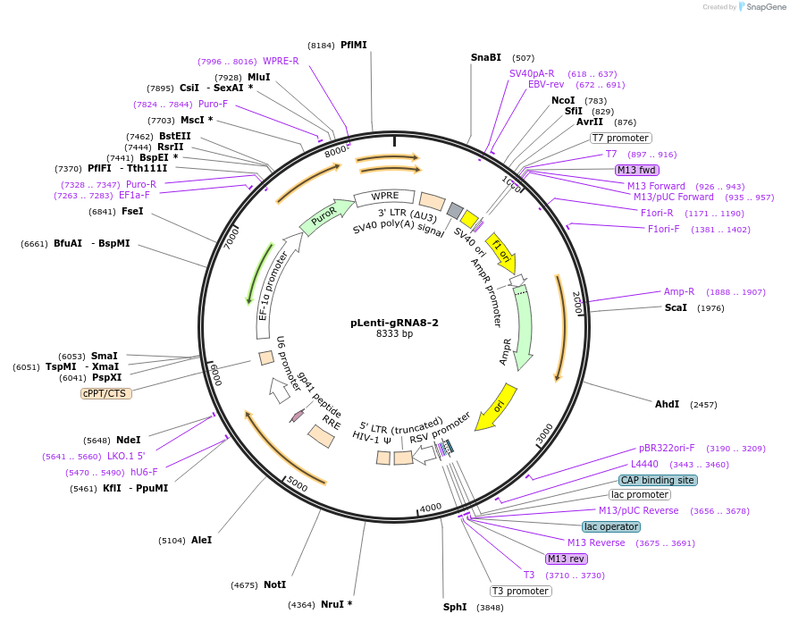 493010_map