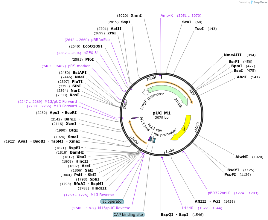 493032_map