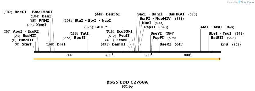 49306_map