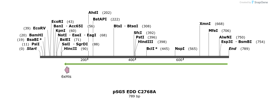49307_map