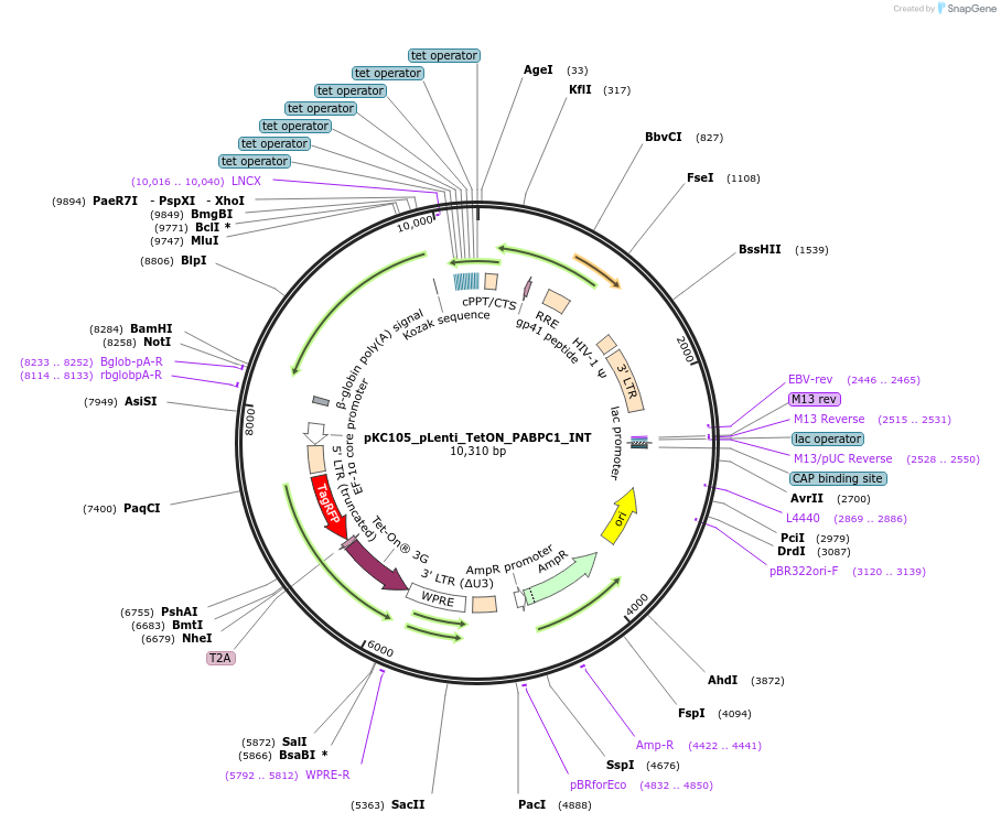 493071_map