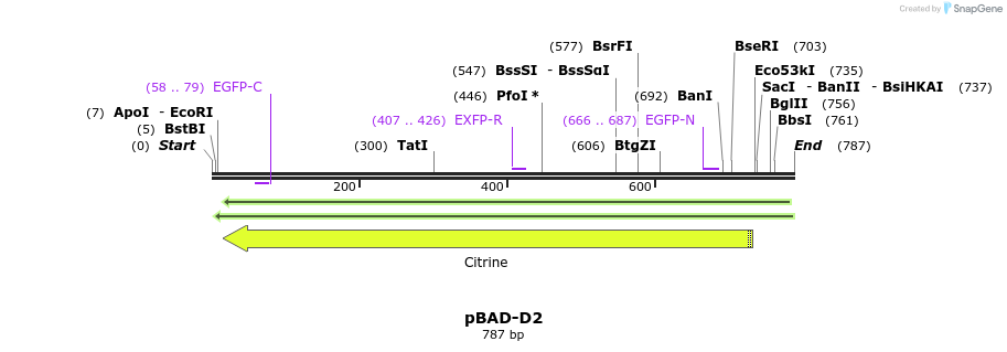 49313_map