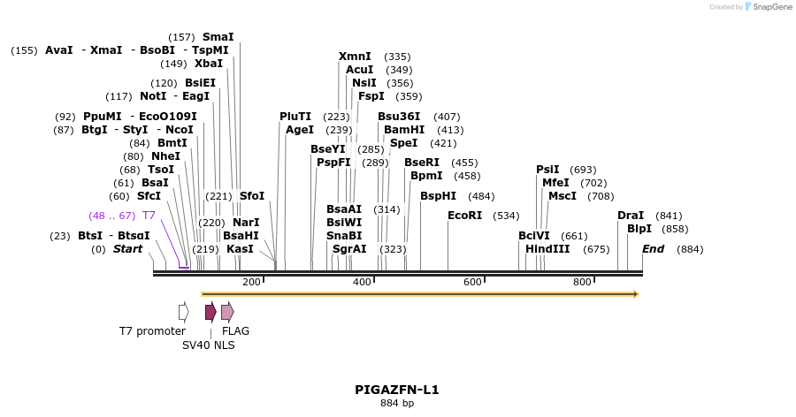 49314_map