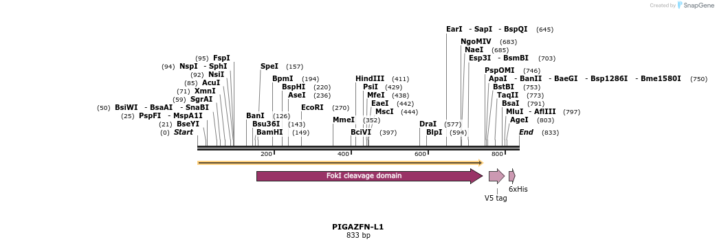 49317_map
