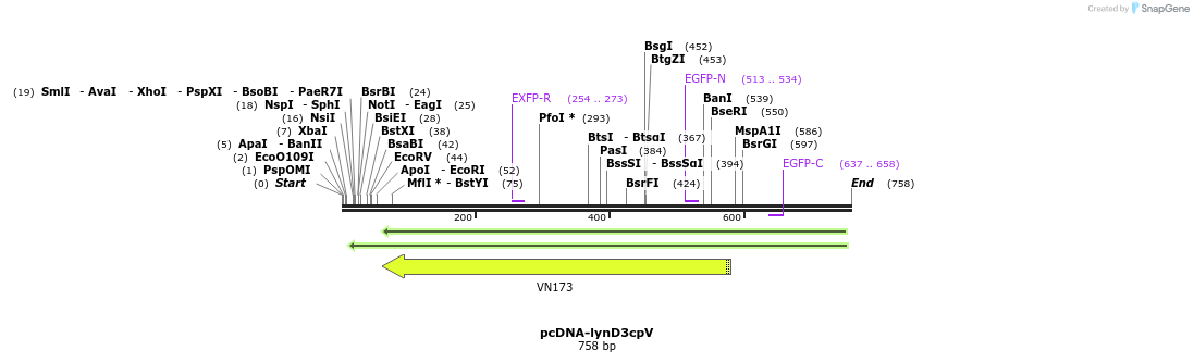 49318_map