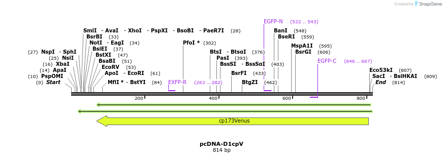 49321_map