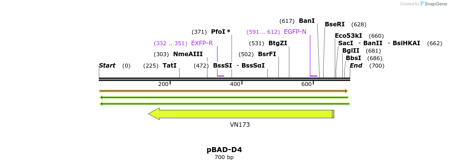 49323_map