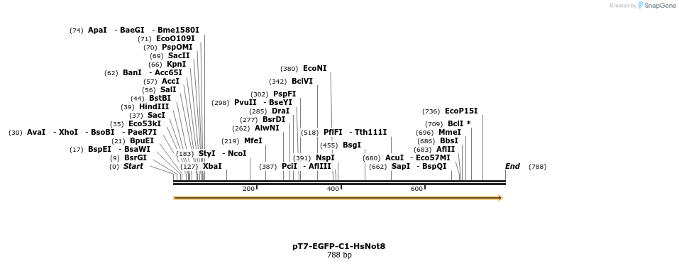 49325_map