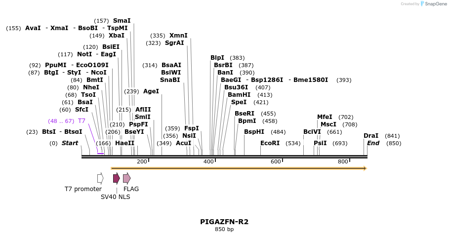 49330_map