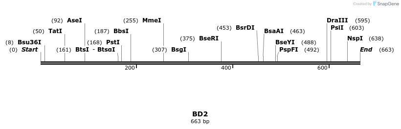 49333_map