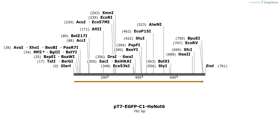 49338_map