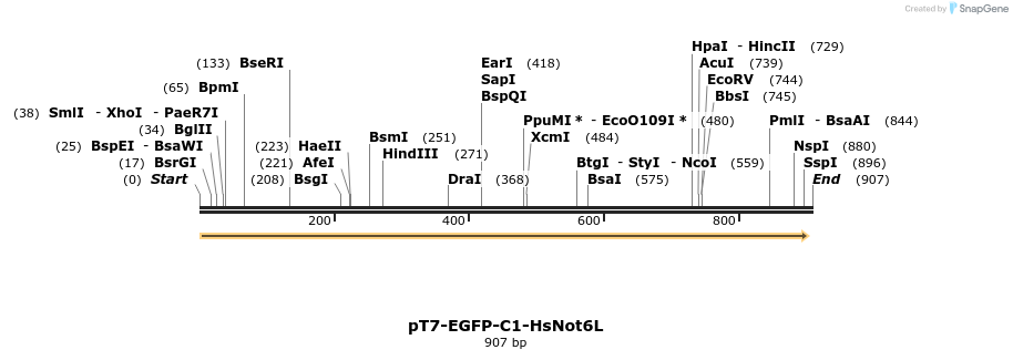 49339_map