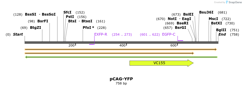 49342_map