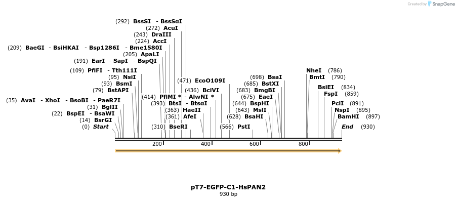 49345_map