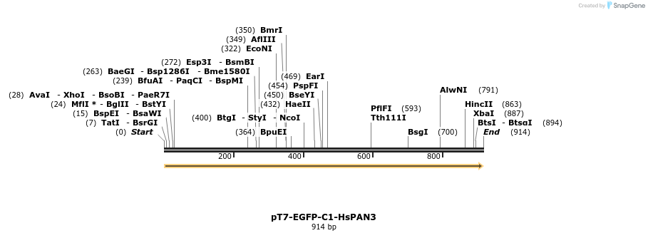 49350_map