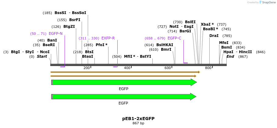 49361_map