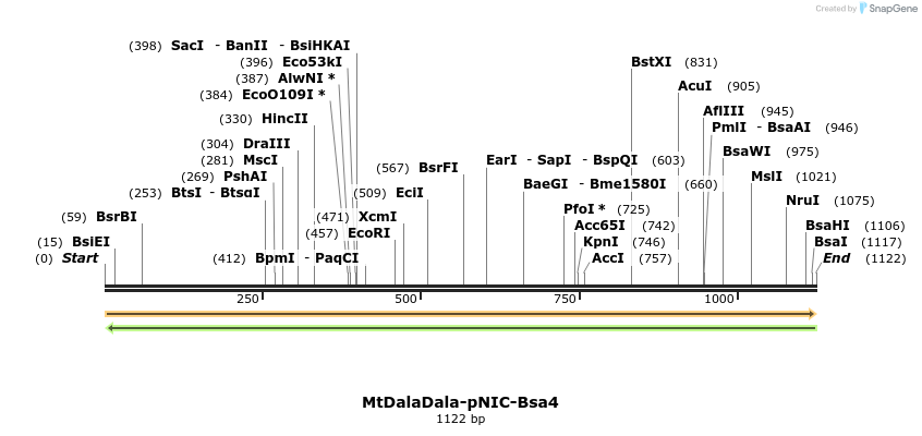 493705_map