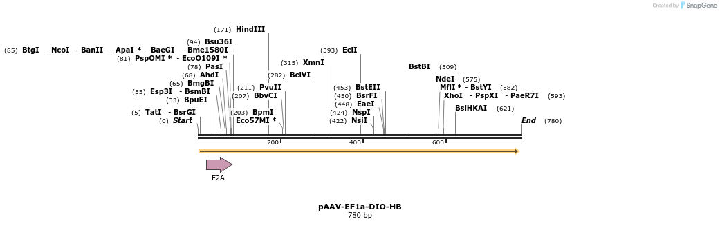49374_map