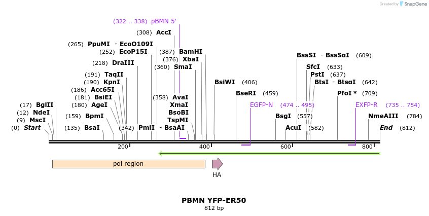 49375_map