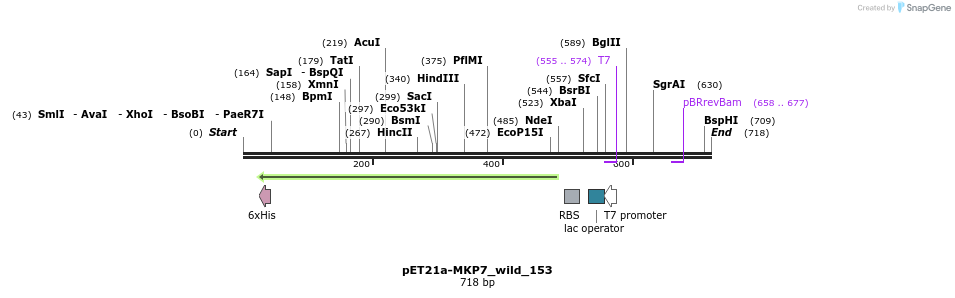 49376_map