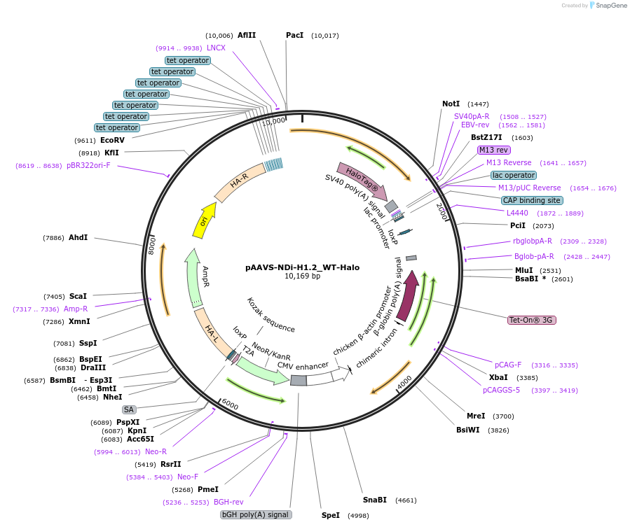 493801_map