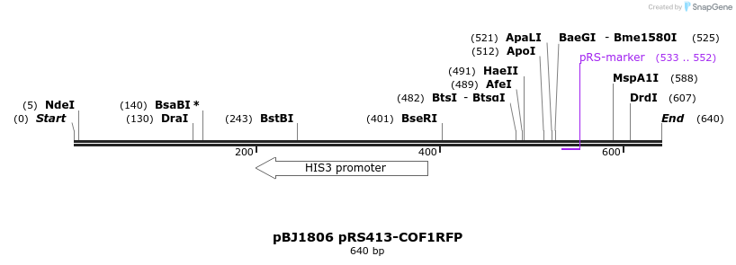 49384_map