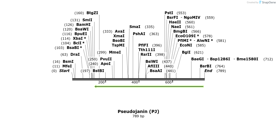 49385_map