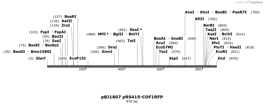 49388_map