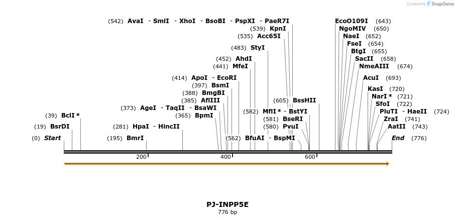 49392_map