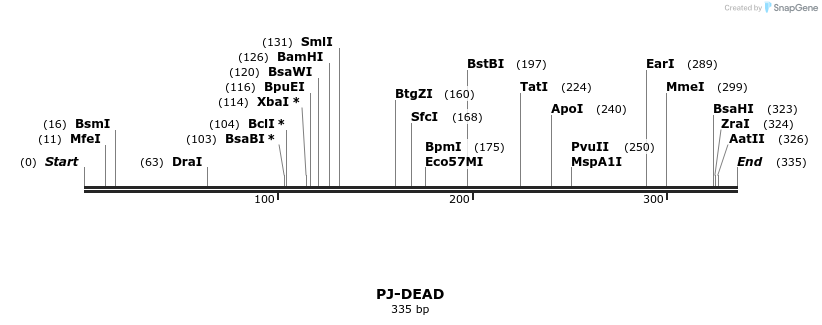 49394_map