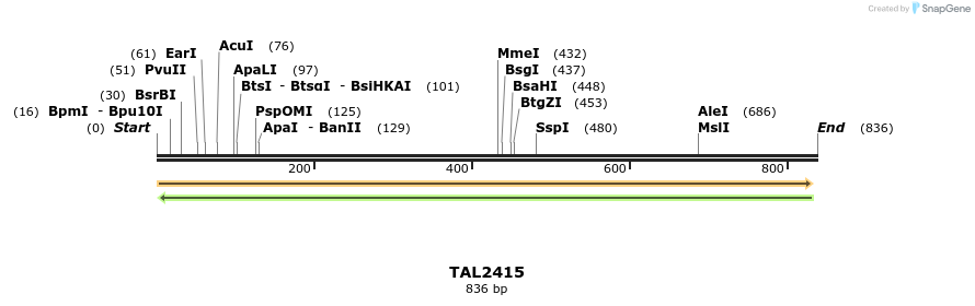 49395_map