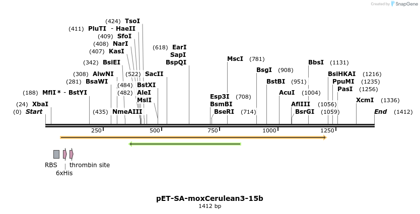 493953_map