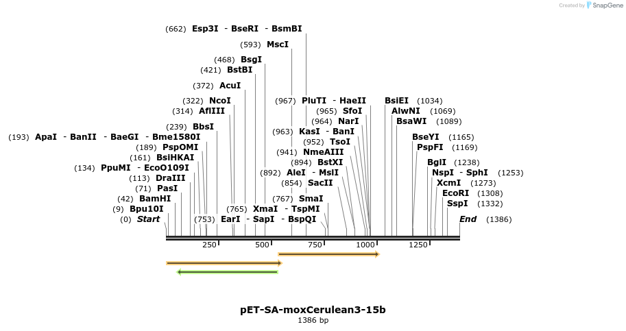 493954_map