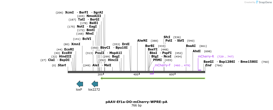 49396_map