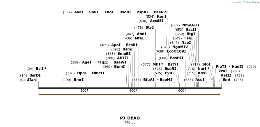 49397_map