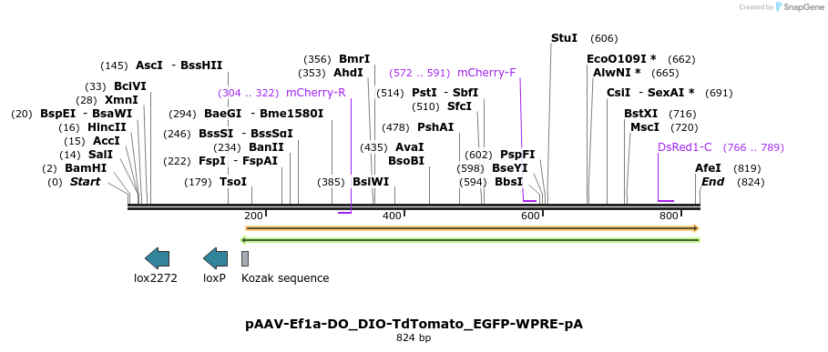 49399_map