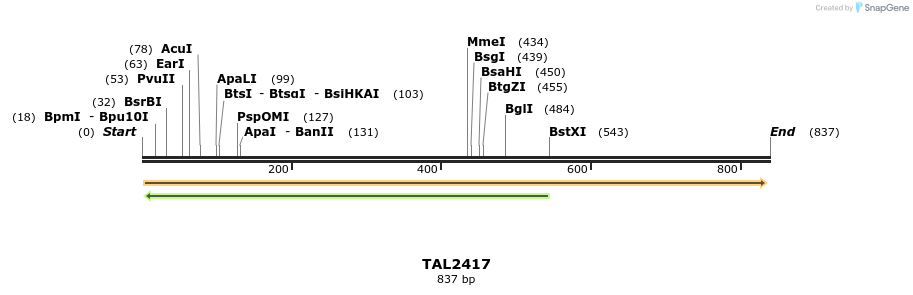 49400_map