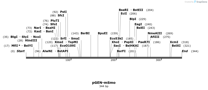 49401_map