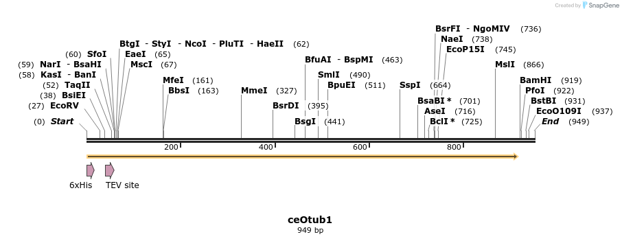 49402_map