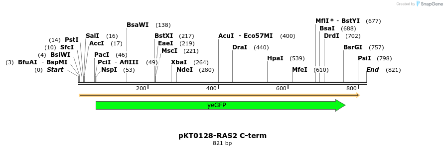 49407_map