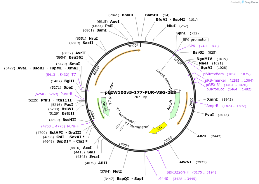 494072_map