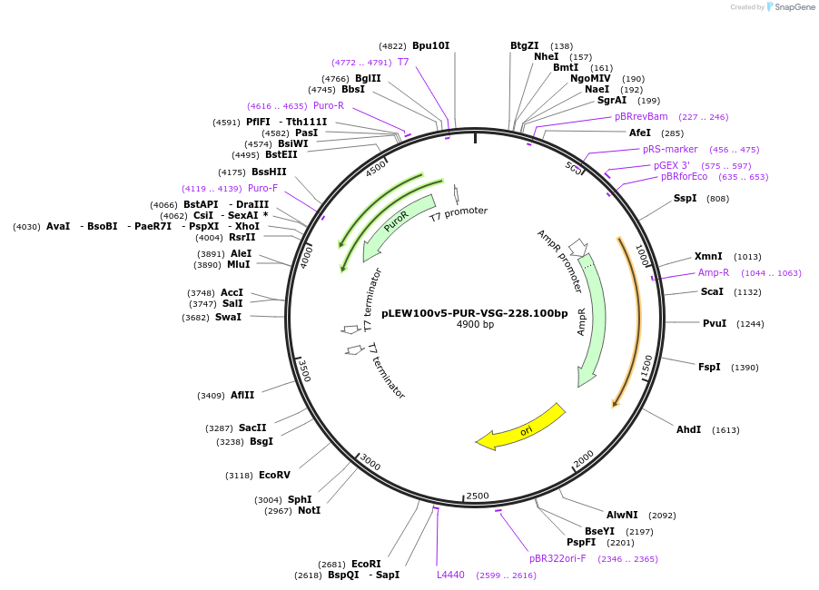 494079_map